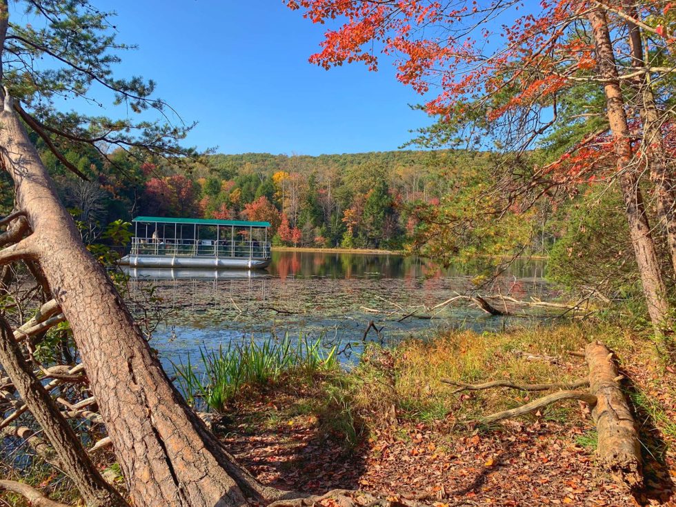 Uncover the Hidden Gems of Kingsport, TN: A Deep Dive into Zillow Listings