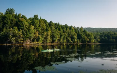 26 Things To Do in Kingsport in 2026