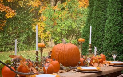 Where to Feast: Thanksgiving Dining in Kingsport