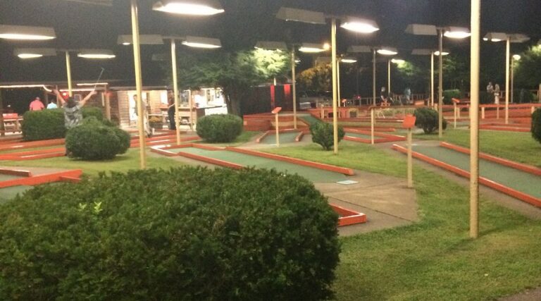 putt putt fun center 768x427